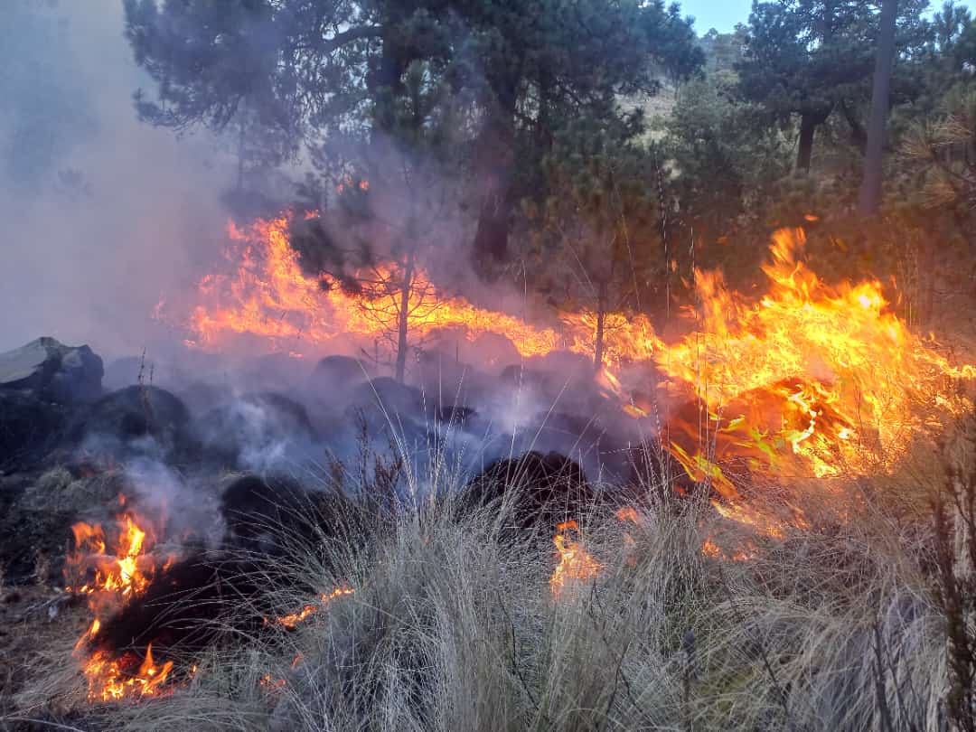 Incendio En El Pico De Orizaba Consumi Alrededor De 200 Hect reas Noesis incendio-en-el-pico-de-orizaba-consumi-alrededor-de-200-hect-reas-noesis